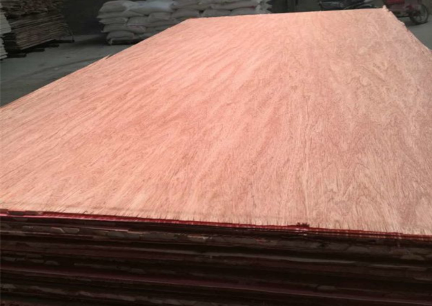 Bingtangor Hardwood Plywood | Forestland Plywood Industry 